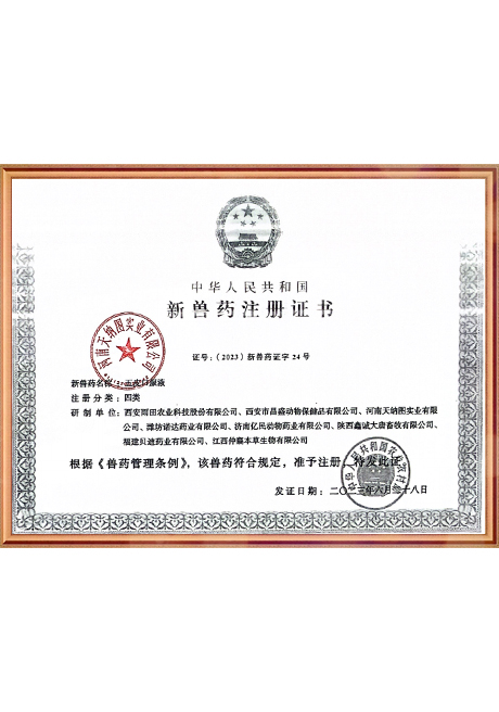 Certificate Of Honor