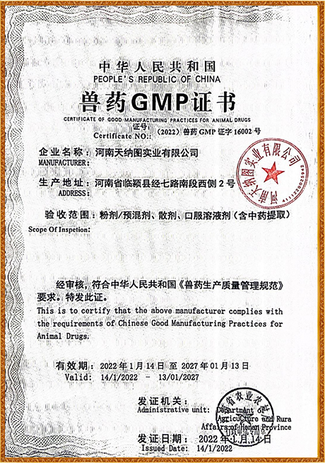 Certificate Of Honor